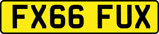FX66FUX