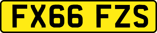 FX66FZS