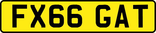 FX66GAT
