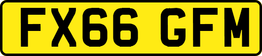 FX66GFM