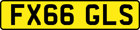 FX66GLS