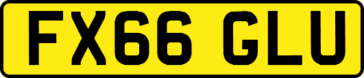 FX66GLU