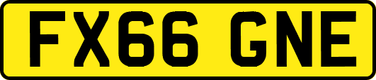 FX66GNE