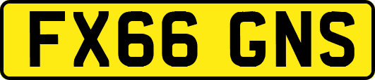 FX66GNS