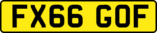 FX66GOF