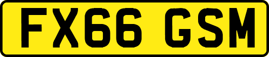 FX66GSM