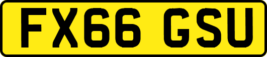 FX66GSU