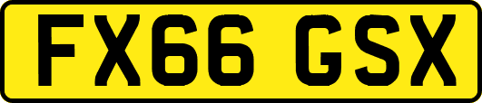 FX66GSX