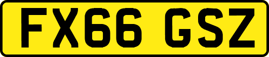 FX66GSZ