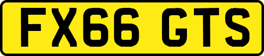 FX66GTS