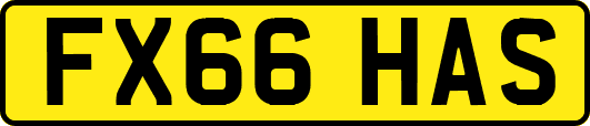 FX66HAS