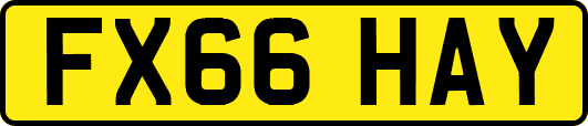 FX66HAY