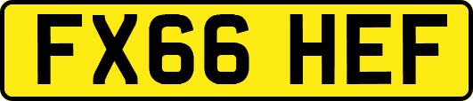 FX66HEF