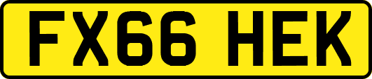FX66HEK