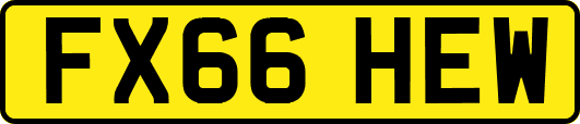 FX66HEW