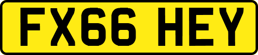 FX66HEY