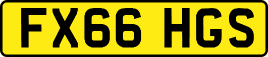 FX66HGS