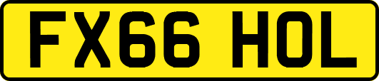 FX66HOL