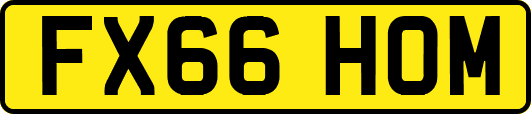FX66HOM