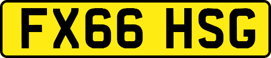 FX66HSG