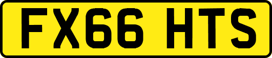 FX66HTS