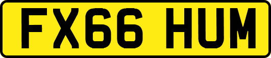 FX66HUM