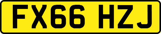 FX66HZJ