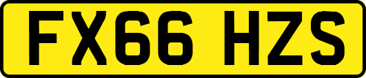 FX66HZS