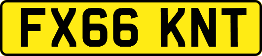 FX66KNT