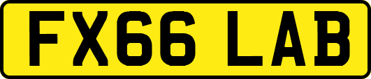 FX66LAB
