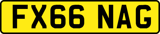 FX66NAG