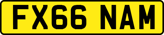 FX66NAM