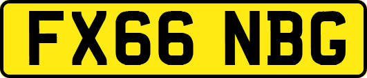 FX66NBG