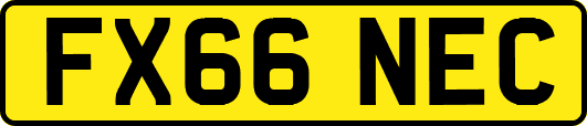 FX66NEC