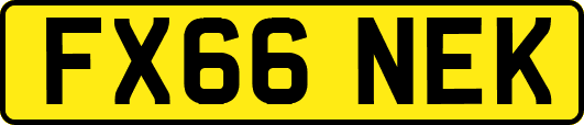 FX66NEK