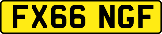 FX66NGF