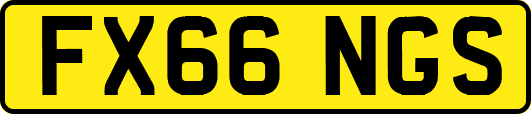 FX66NGS