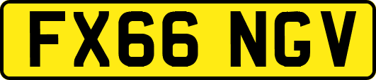 FX66NGV