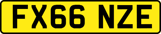 FX66NZE