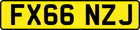 FX66NZJ