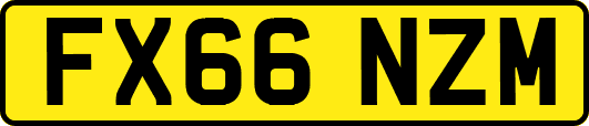 FX66NZM