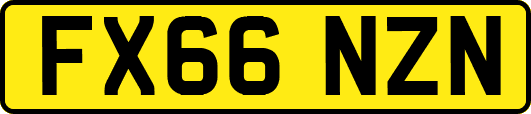 FX66NZN