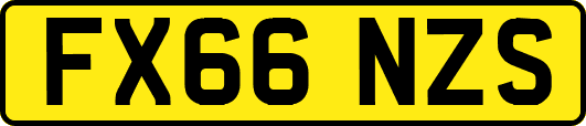 FX66NZS