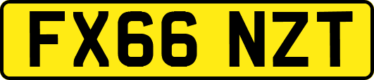 FX66NZT