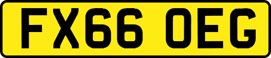 FX66OEG