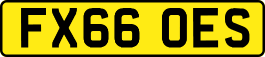 FX66OES