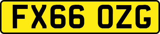 FX66OZG