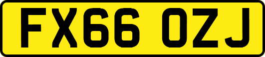 FX66OZJ