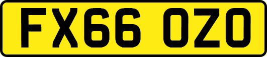 FX66OZO