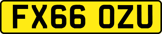 FX66OZU